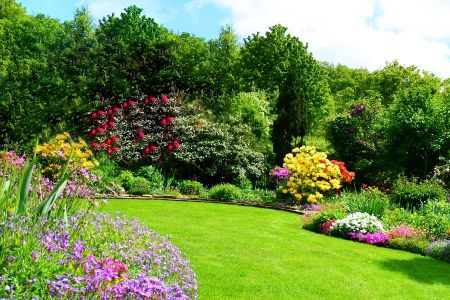 Garten mit Rasenfläche, Büschen, Bäumen und blühenden Pflanzen